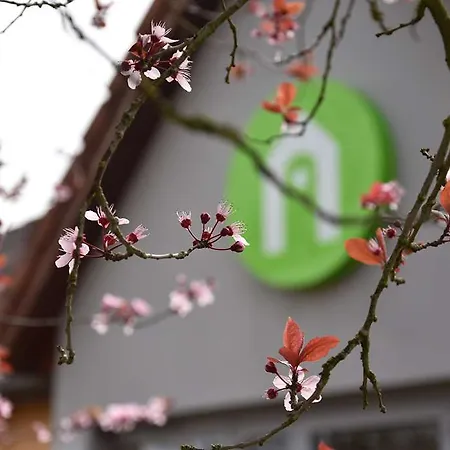 Hotel Campanile Metz Sud A31 Carrefour De L'europe 3*